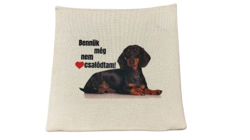 Bennük még nem csalódtam-vászon párnahuzat
