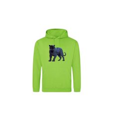 Párduc-világoszöld pulóver