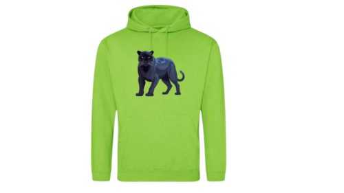 Párduc-világoszöld pulóver