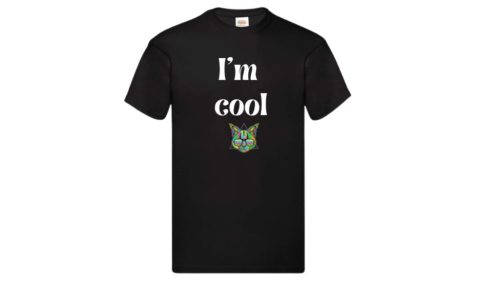 Menő vagyok 2-férfi/Unisex póló