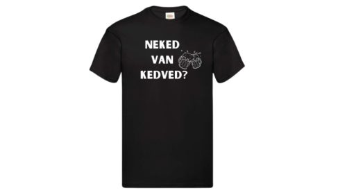 Neked van kedved?-férfi/Unisex póló