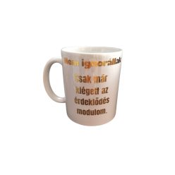 Nem ignorállak....-fehér bögre