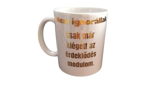 Nem ignorállak....-fehér bögre