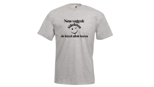 Nem vagyok tökéletes de közel állok hozzá-férfi/Unisex póló