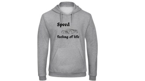 Speed,feeling of life-car/világosszürke pulóver