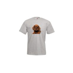 Tacskó-férfi/Unisex póló