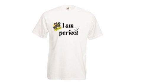 Tökéletes vagyok-férfi/Unisex póló