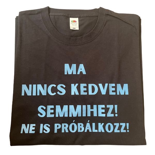 Ma nincs kedvem semmihez! Ne is próbálkozz!