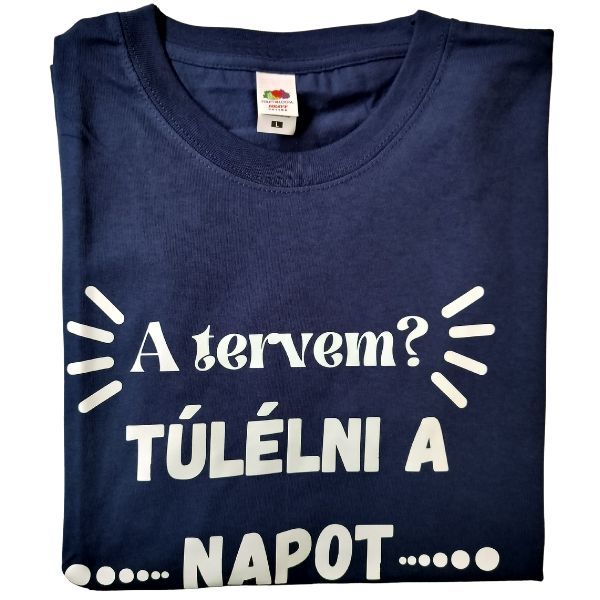 A tervem? Túlélni a napot A tervem? Túlélni a napot