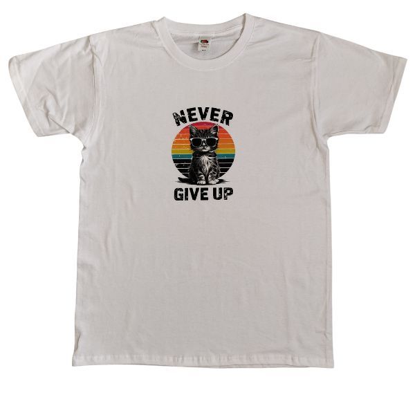 Never give up Never give up