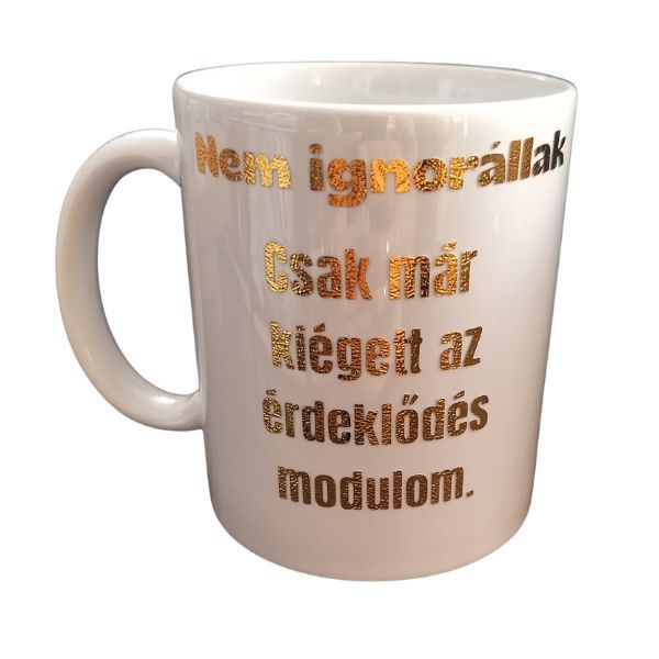 Nem ignorállak....-fehér bögre Nem ignorállak....-fehér bögre