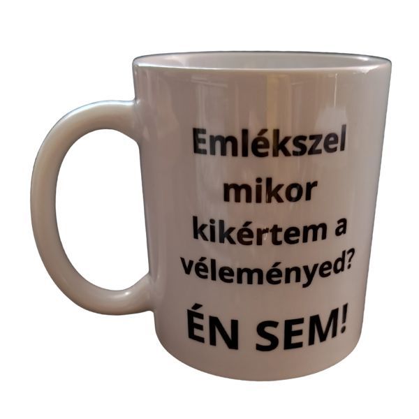 Emlékszel mikor kikértem a véleményed?....-fehér bögre Emlékszel mikor kikértem a véleményed?....-fehér bögre